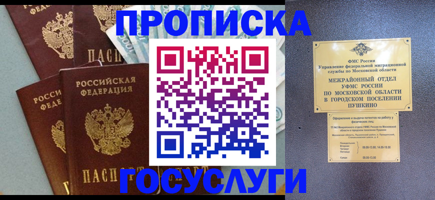 прописка гарантия в Жукове